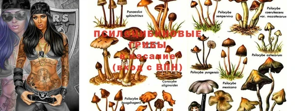 кристаллы Покровск