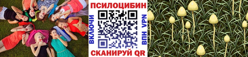 гидра ТОР Светлый Галлюциногенные грибы Cubensis
